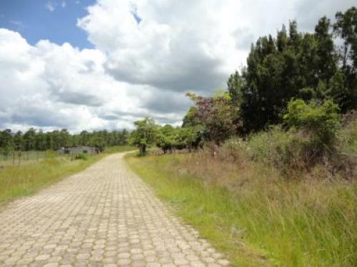 Terreno ubicado en BOSQUES DE ZAMBRANO! URGE VENDER! 