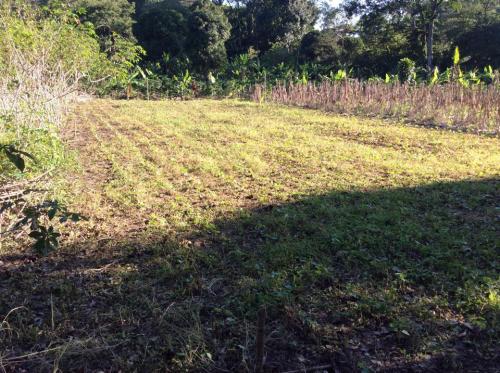 VENTA DE BELLOS TERRENOS PRIVADOS, ZONA CAMPESTRE LAGO YOJOA 