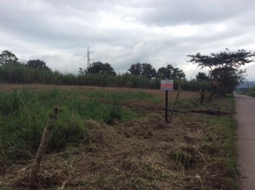 SE VENDEN 4 MNZ CON VISTA AL LAGO YOJOA, ZONA EXCLUSIVA, ¡NEGOCIABLE!