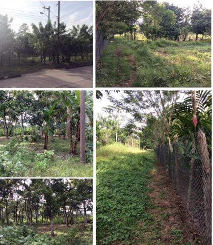 VENTA DE LOTES PRIVADOS,  ZONA ARQUEOLÓGICA-TURÍSTICA, LAGO DE YOJOA.