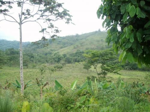SE VENDE BELLA PROPIEDAD, DESVÍO PITO SOLO, 100 MTS DE CARRETERA CA-5