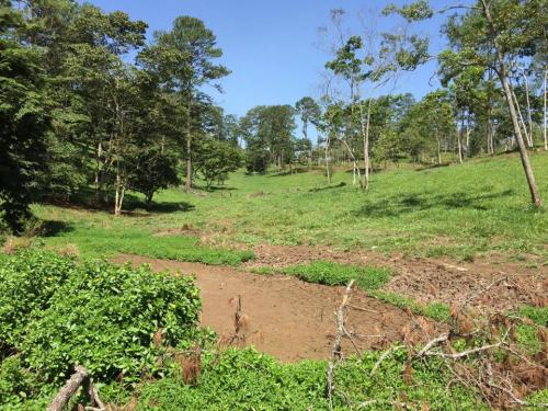 TENEMOS LA PROPIEDAD DE TUS SUEÑOS, VEN A CONOCER LAS MEJORES TIERRAS DE LA ZONA. SE VENDEN BELLOS TERRENOS EN SANTA CRUZ DE YOJOA CAMINO AL ZOOLÓGICO