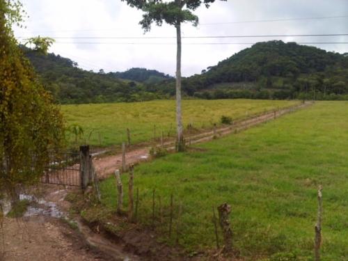 SE VENDE HERMOSA FINCA ENTRE RÍOS EN SANTA CRUZ DE YOJOA, CALLE HACIA EL ZOOLÓGICO JOYA GRANDE. *** PROPIEDAD APTA PARA PROYECTO DE TILAPIA O GANADERÍ