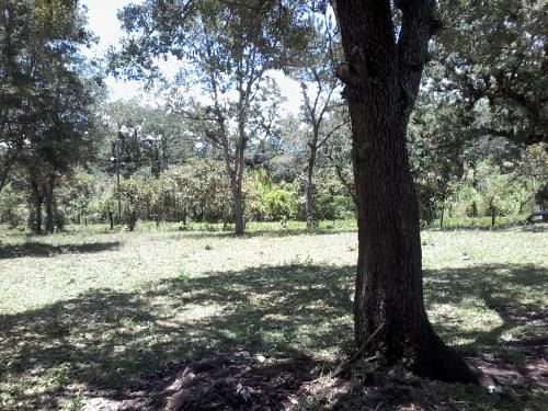SE VENDE BELLA PROPIEDAD 12,000 VARAS, HORCONCITOS, ZONA LAGO DE YOJOA