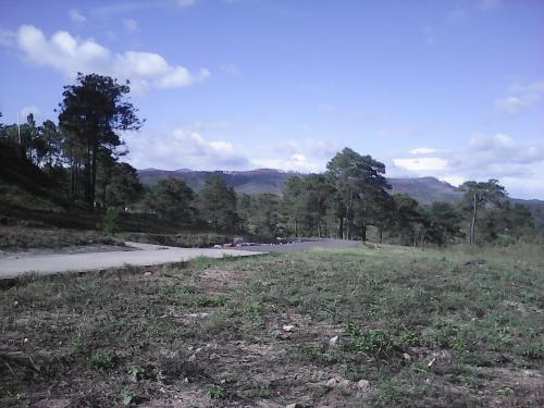 Residencial Altos de Zambrano