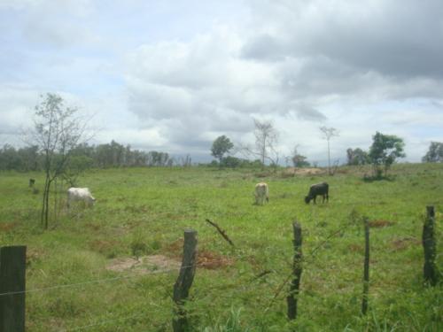 Hacienda en Venta en Cedros, F.M.