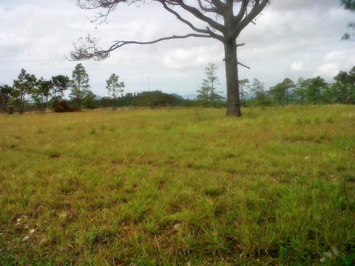 Venta de Terrenos en Nueva Arcadia, Santa Ana, Cero Prima, Financiados por el Propietario
