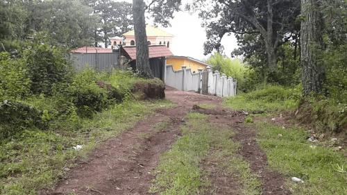 Venta de terrenos en Santa Lucia, Sabana Del Lolo