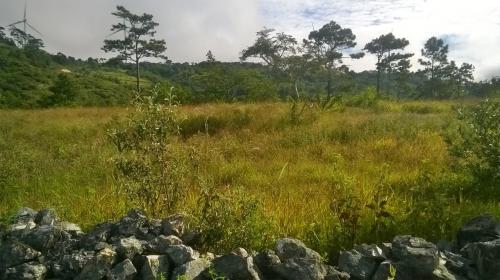 Venta de Terrenos Financiados en Nueva Arcadia (Lps. 65;000.00)