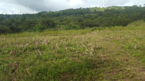 TERRENOS EN VENTA FINANCIADOS, AGUA FRIA, NUEVA ARCADIA