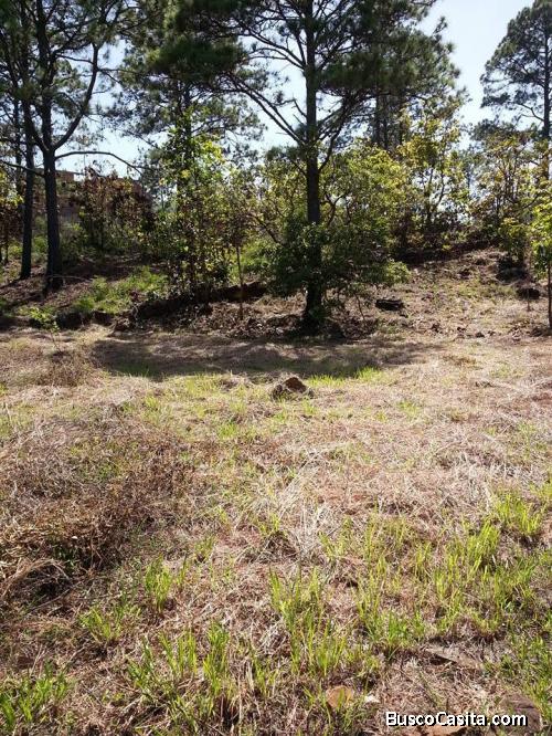 Terreno en colonia privada en Zambrano 