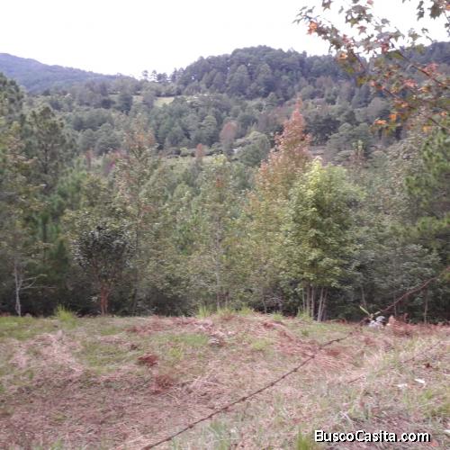 TERRENO EN VENTA, VALLE DE ÁNGELES