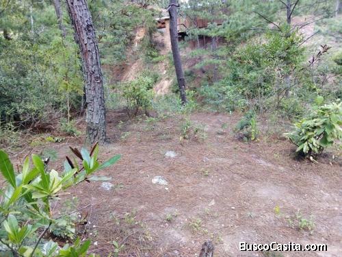 TERRENO EN VENTA, VALLE DE ÁNGELES