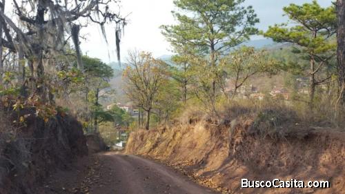 LOTE EN VENTA EL CHIMBO