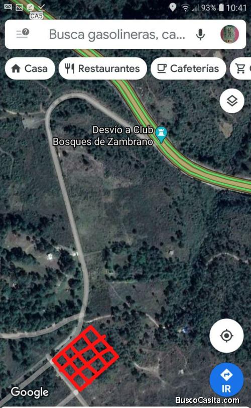 Lote de terreno en Zambrano