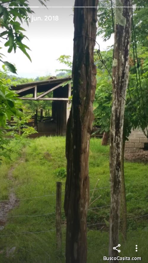 Venta de hermoso terreno en el lago de yojoa 