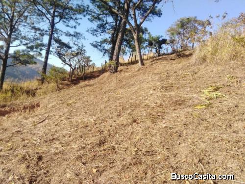 3 terrenos en venta