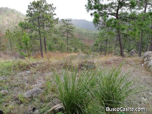 Terreno para Inversión en precio de Remate 1 km antes de Tatumbla