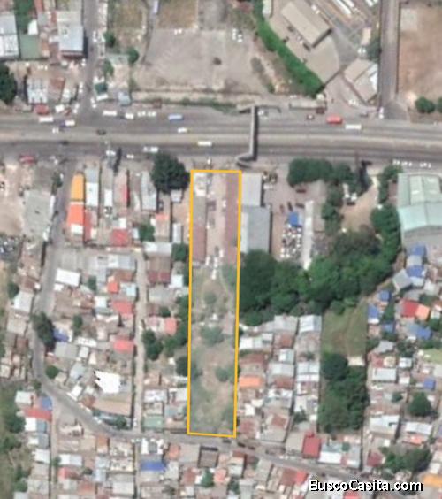 se vende plantel 