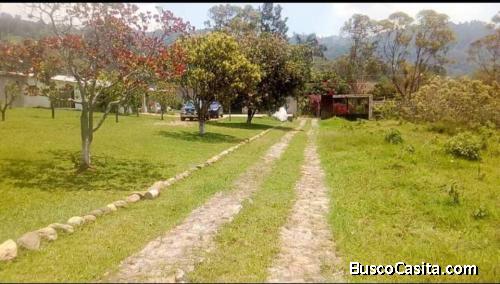 Terreno en valle de angeles / zarzal