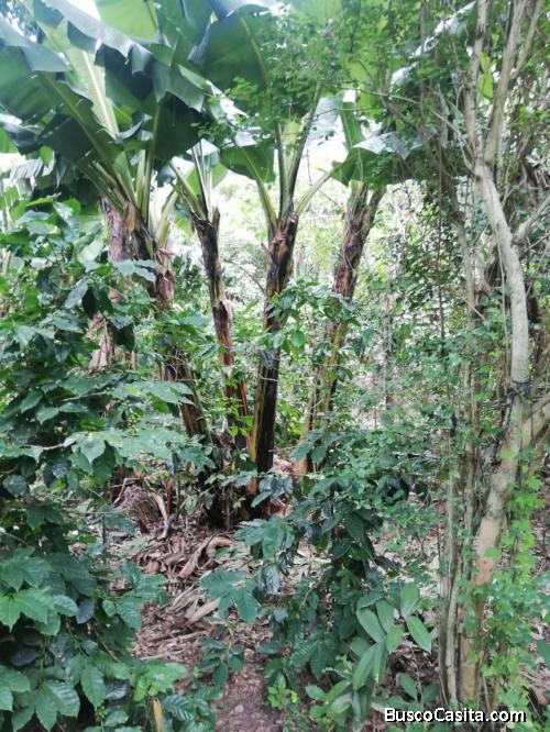 Se vende propiedad incluye casa.