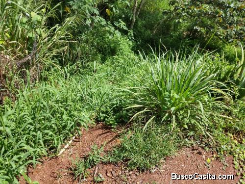 Se vende terreno en zarabanda 