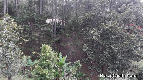 Venta de Bonito terreno en Santa Lucia