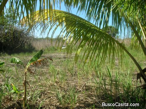 TERRENO AMPLIO EN LA BELLA ROATAN!!