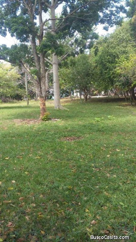 VENTA DE TERRENO EN TELA CON ACCESO A PLAYA