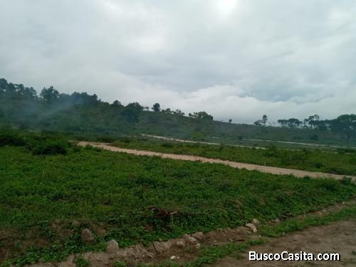 Terrenos en el Zamorano 