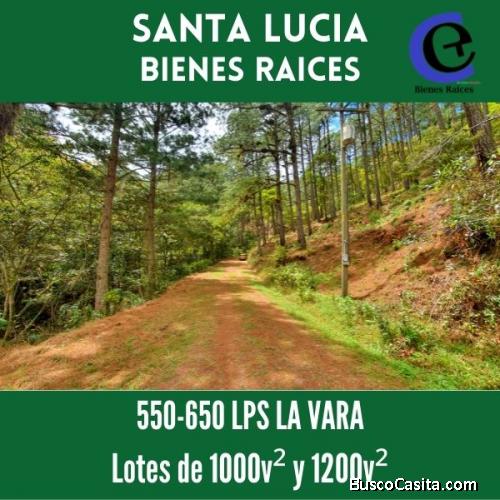 Venta de terrenos o lotes en la zona turistica de Santa Lucia,Francisco Morazan