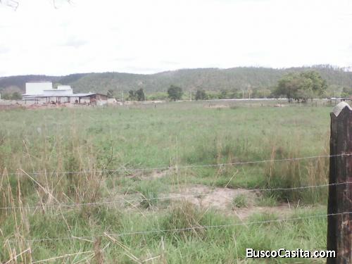 Se Vende Amplio Terreno en Guaymaca