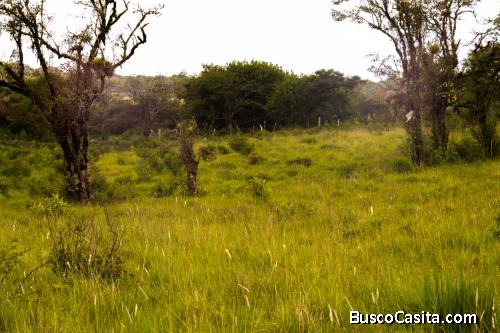 Terreno en Venta, Montaña de Azacualpa Tatumbla 