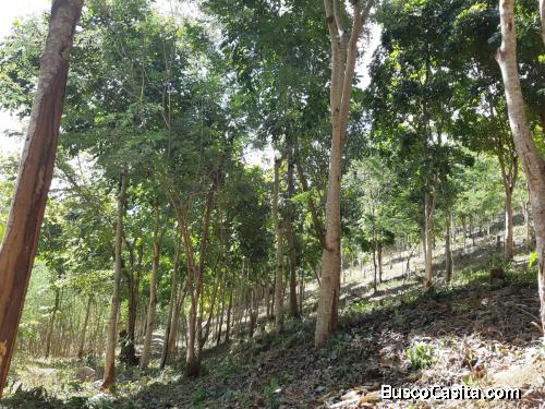 Venta de terreno 7 manzanas negociable 