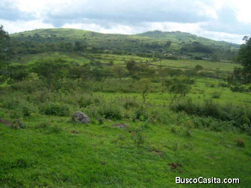 Venta de Terreno en Cerro de Hula 