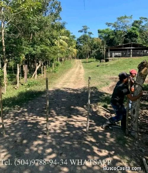 SE VENDEN 80 MANZANAS EN SONAGUERA COLÓN PLANAS EN SU MAYORÍA 