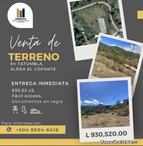 Venta de Terreno en Tatumbla