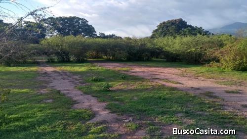 Se Vende Propiedad en ComayaguaCA-5
