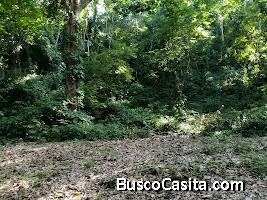 TRES MANZANAS Y MEDIA DE TERRENO EN VENTA 