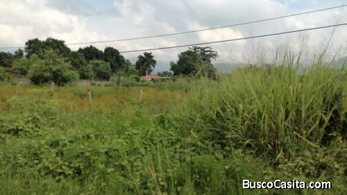 TERRENO EN VENTA SAN PEDRO SULA 