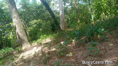 Solar Urbano en venta en Barrio Magdalena Santa Barbara Honduras