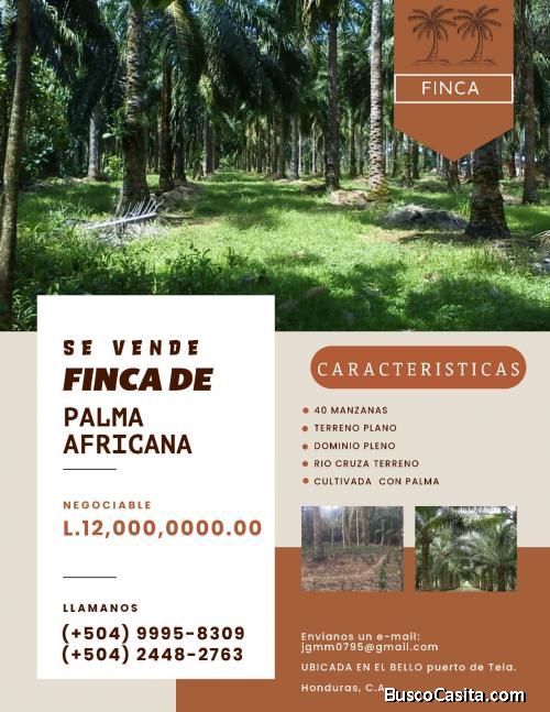 Venta de Finca en Tela, Atlántida 