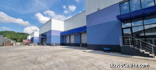BODEGA EN RENTA SECTOR EL POLVORIN