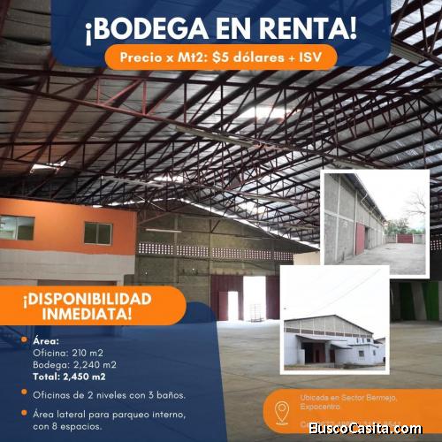 OFIBODEGA EN RENTA - SPS