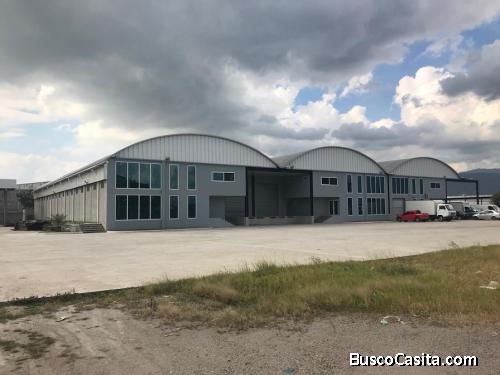 SE RENTA BODEGA EN SECTOR EL POLVORIN DE SPS