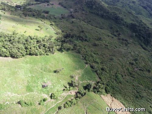 VENTA DE TERRENO UBICADO CERCA DEL NARANJITO SANTA BÁRBARA -HONDURAS