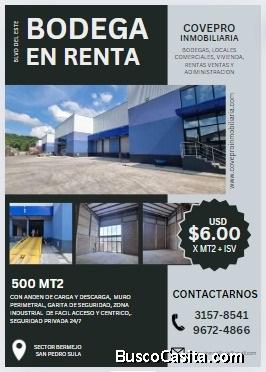 RENTA DE BODEGA EN SPS-CENTRICA