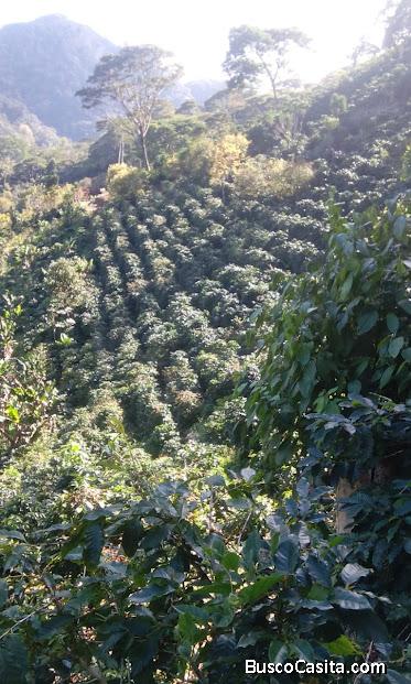 VENTA DE FINCA  UBICADA EN SANTA BARBARA 