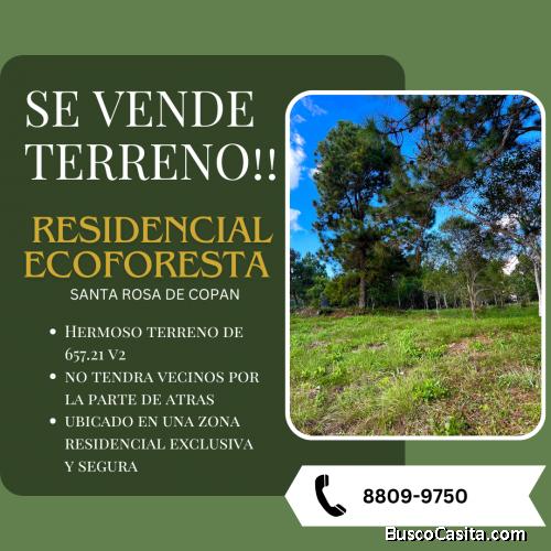 TERRENO EN ECOFORESTA!!! 