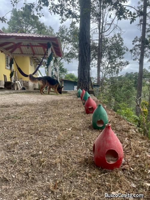 Casa con amplio terreno en Valle de Angeles!